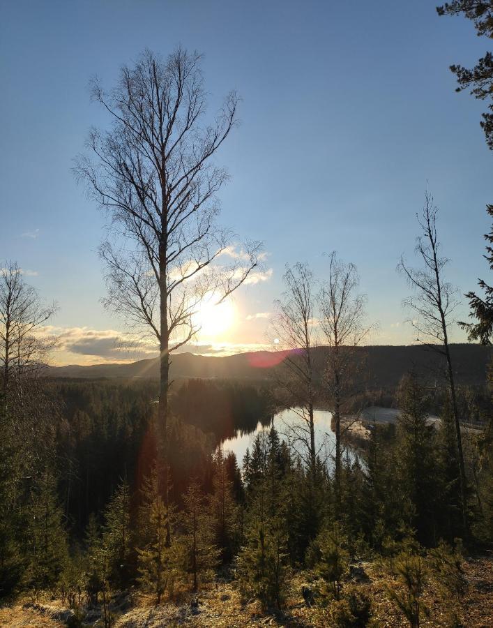 Ekesberget Stugby Retro Stuga 9 Ekshärad 外观 照片